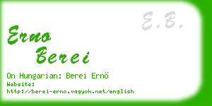 erno berei business card